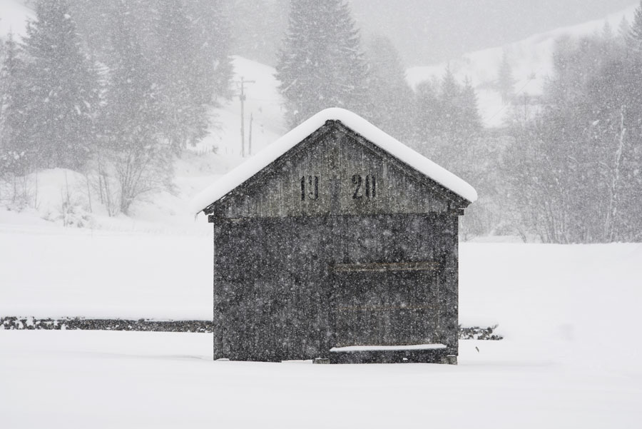 Abondance, Haute-Savoie, Alpes, hiver, vacherin
