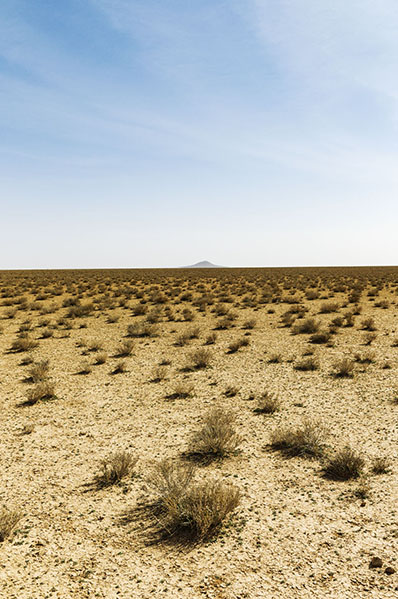 steppe, Hauts plateaux, Maroc Oriental