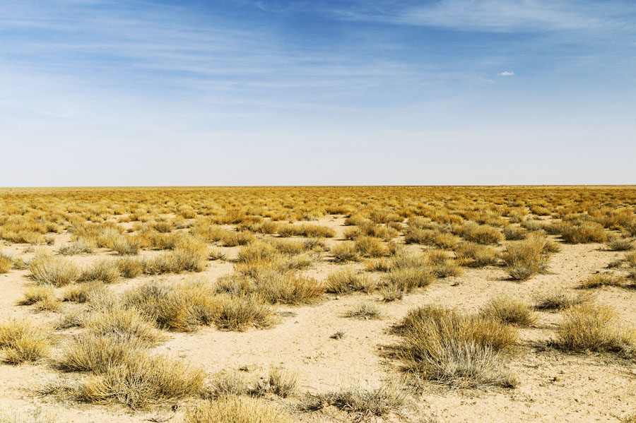 steppe, Hauts plateaux, Maroc Oriental