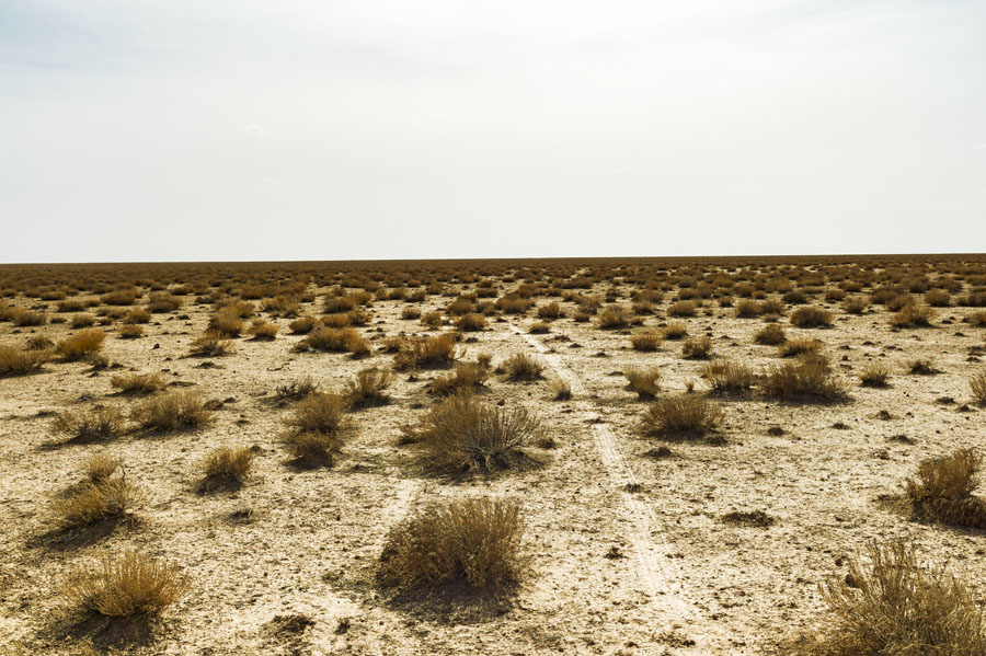 désert, steppe, Hauts plateaux, Maroc Oriental