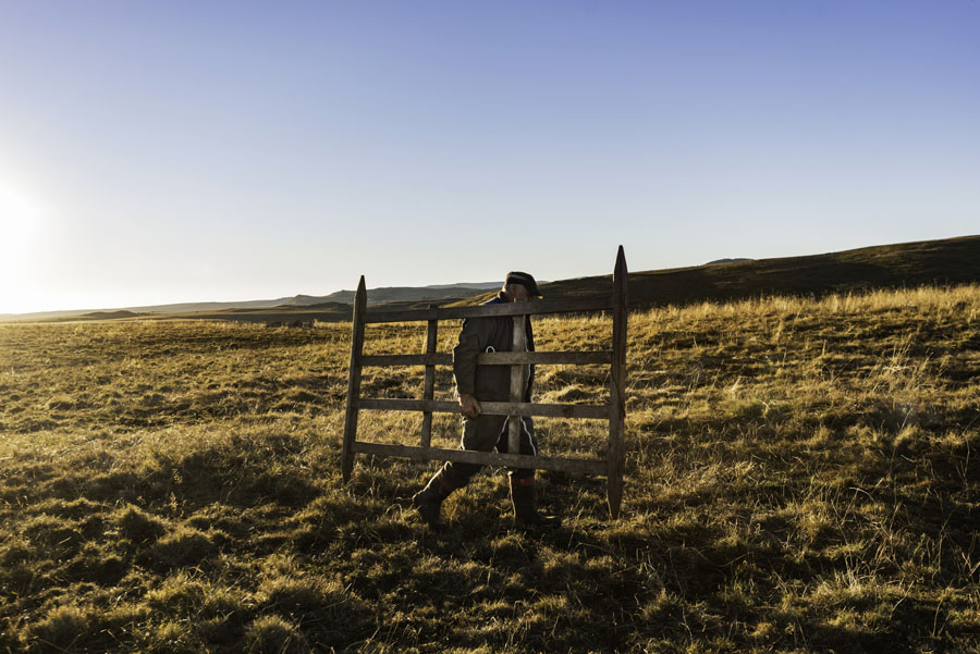 France, Cantal, Auvergne, Salers, estive