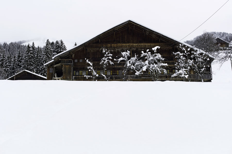 Abondance, Haute-Savoie, Alpes, hiver, vacherin