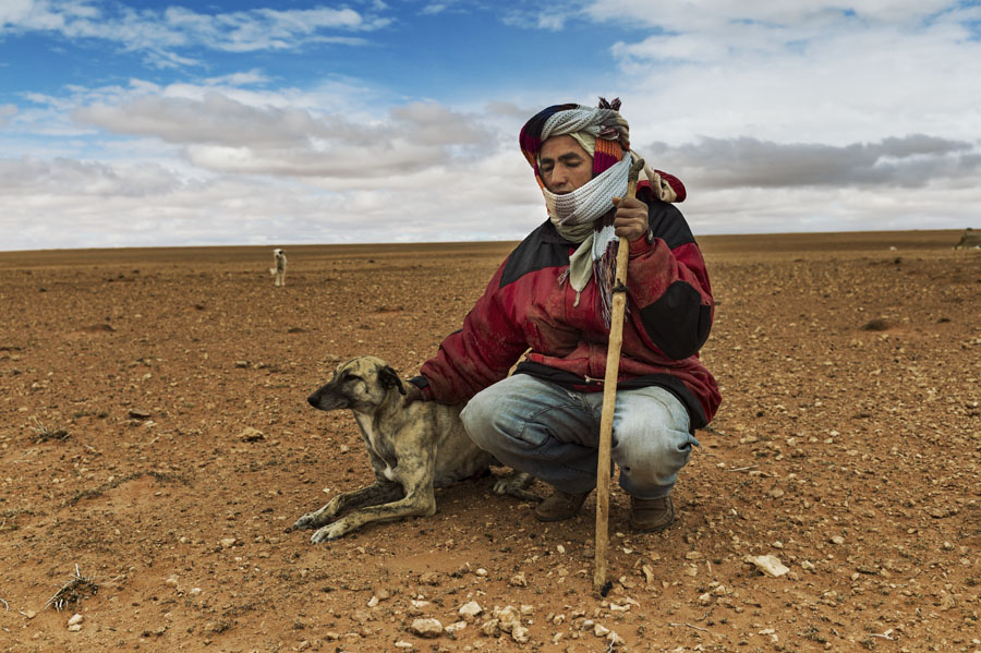désert, nomade, pasteur, berger, Hauts plateaux, Maroc Oriental