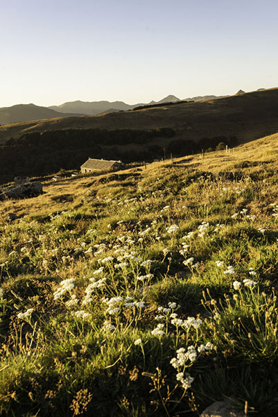 France, Cantal, Auvergne, Salers