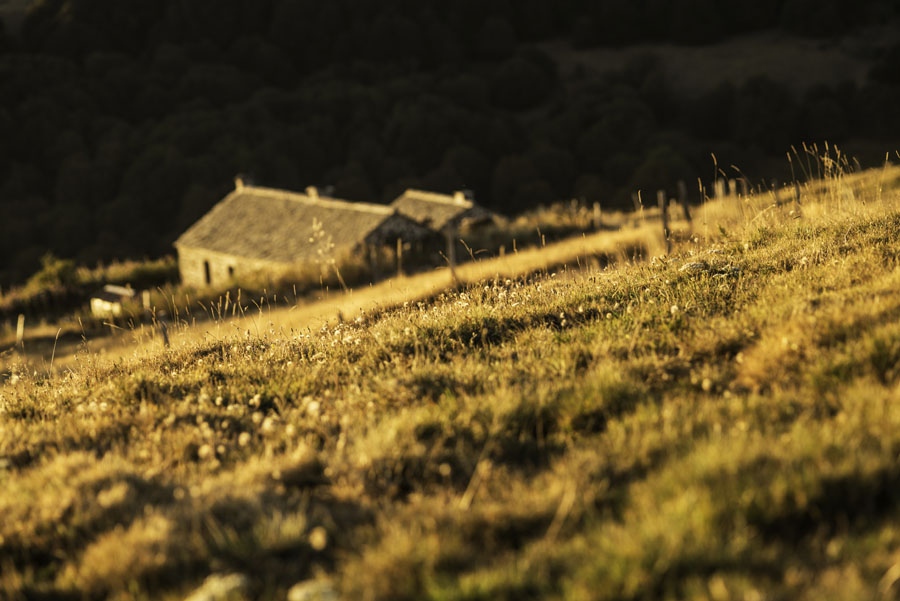 France, Cantal, Auvergne, Salers