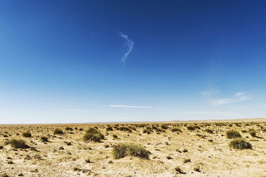 Hauts plateaux, Maroc Oriental, steppe