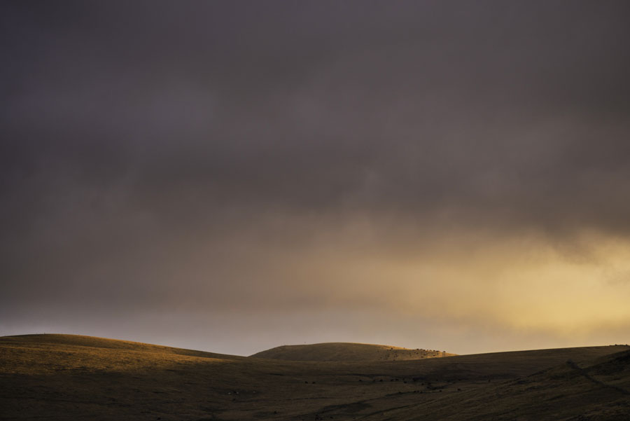 France, Cantal, Auvergne, Salers