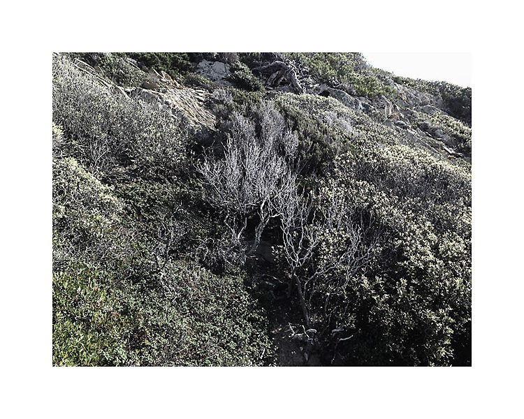 île, méditerranée, Port Cros, Porquerolles, presqu'île de Giens